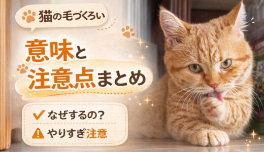 猫の毛づくろいの意味とは？やりすぎの原因と注意点をわかりやすく解説