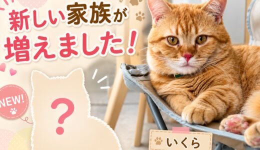 下のソーシャルリンクからフォロー