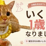 いくら1歳になりました！誕生日をお祝いした日の記録